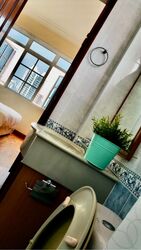 Moulmein Rise (D11), Apartment #591307901